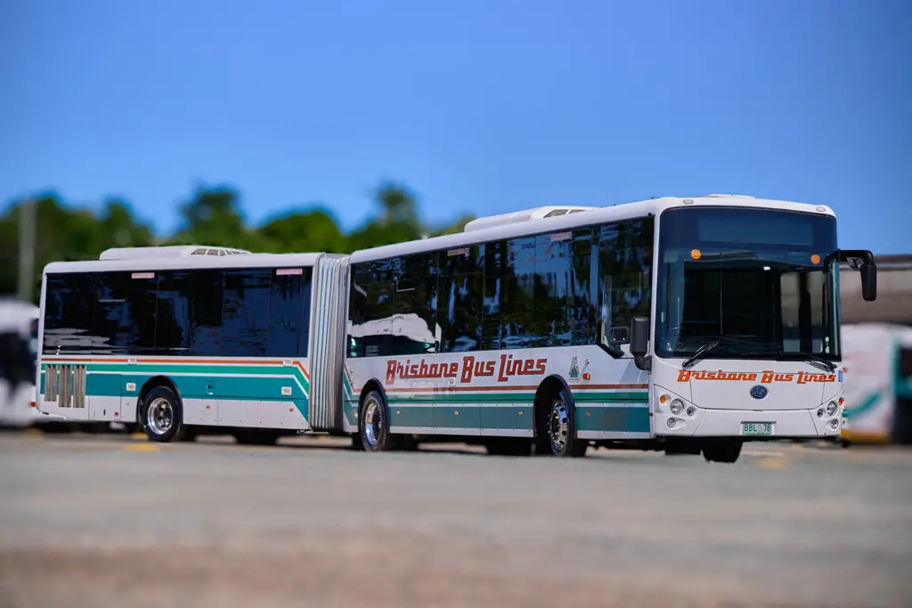 Articulated (bendy) buses