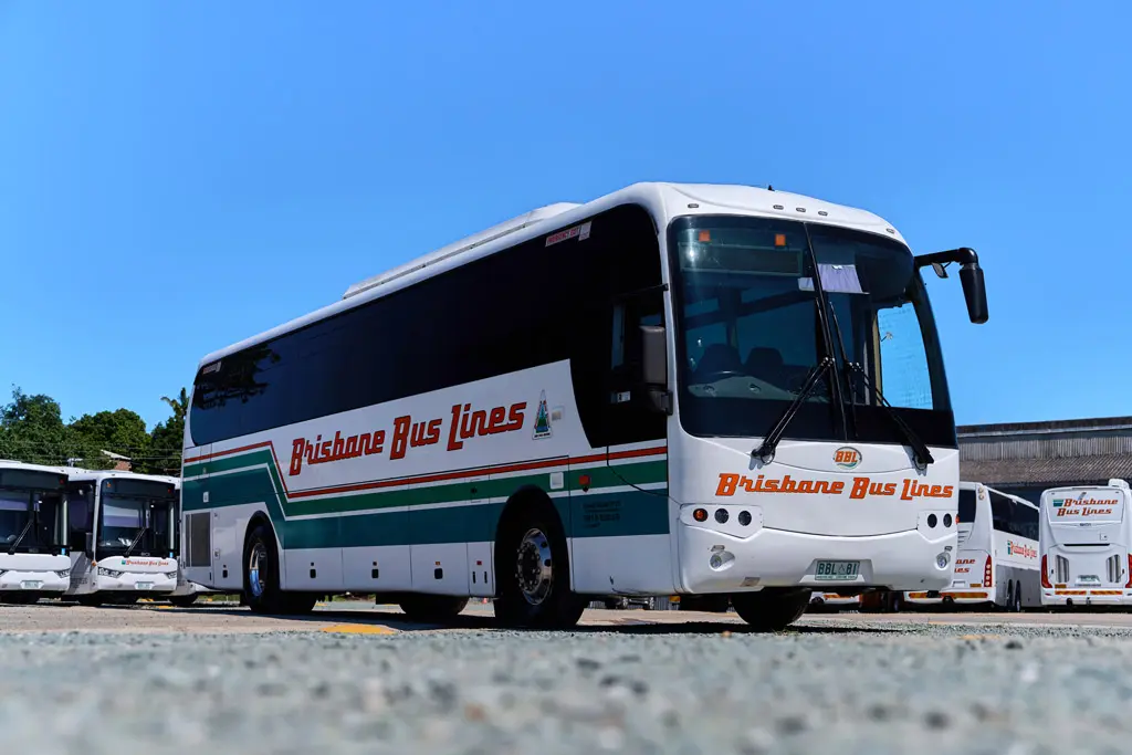 Bus