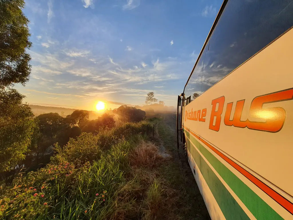Bus